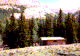 accomodations in rustic hunting cabins and spike camps